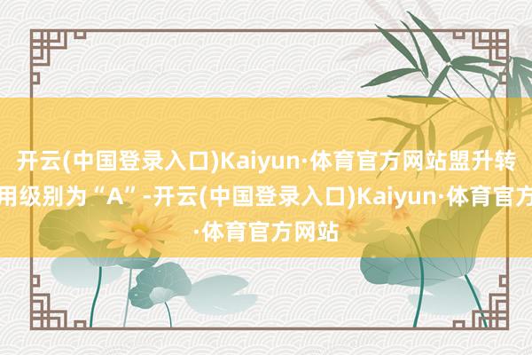 开云(中国登录入口)Kaiyun·体育官方网站盟升转债信用级别为“A”-开云(中国登录入口)Kaiyun·体育官方网站